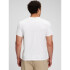 V-INTX - LOGO ORIG ARCH OPTIC WHITE