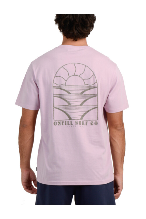 Remera O'Neill Overzized Boxy Horizon Rosa