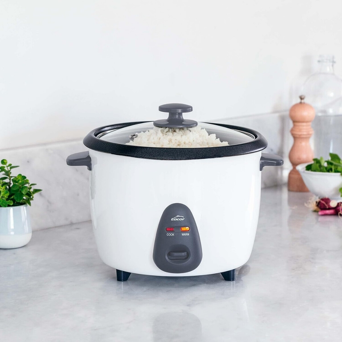 Arrocera eléctrica 700 W 