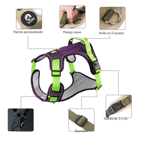 Arnés Antitirones Y Correa Nylon 1.5m Reforzado Ajustable Verde/violeta