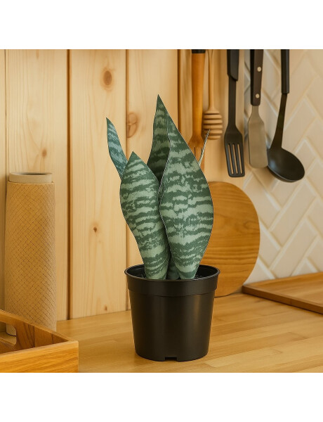 PLANTA LENGUA DE SUEGRA ARTIFICIAL 27CM PLANTA LENGUA DE SUEGRA ARTIFICIAL 27CM