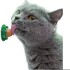 GOLOSINA PARA GATO CATNIP HIERBA GATERA GOLOSINA PARA GATO CATNIP HIERBA GATERA