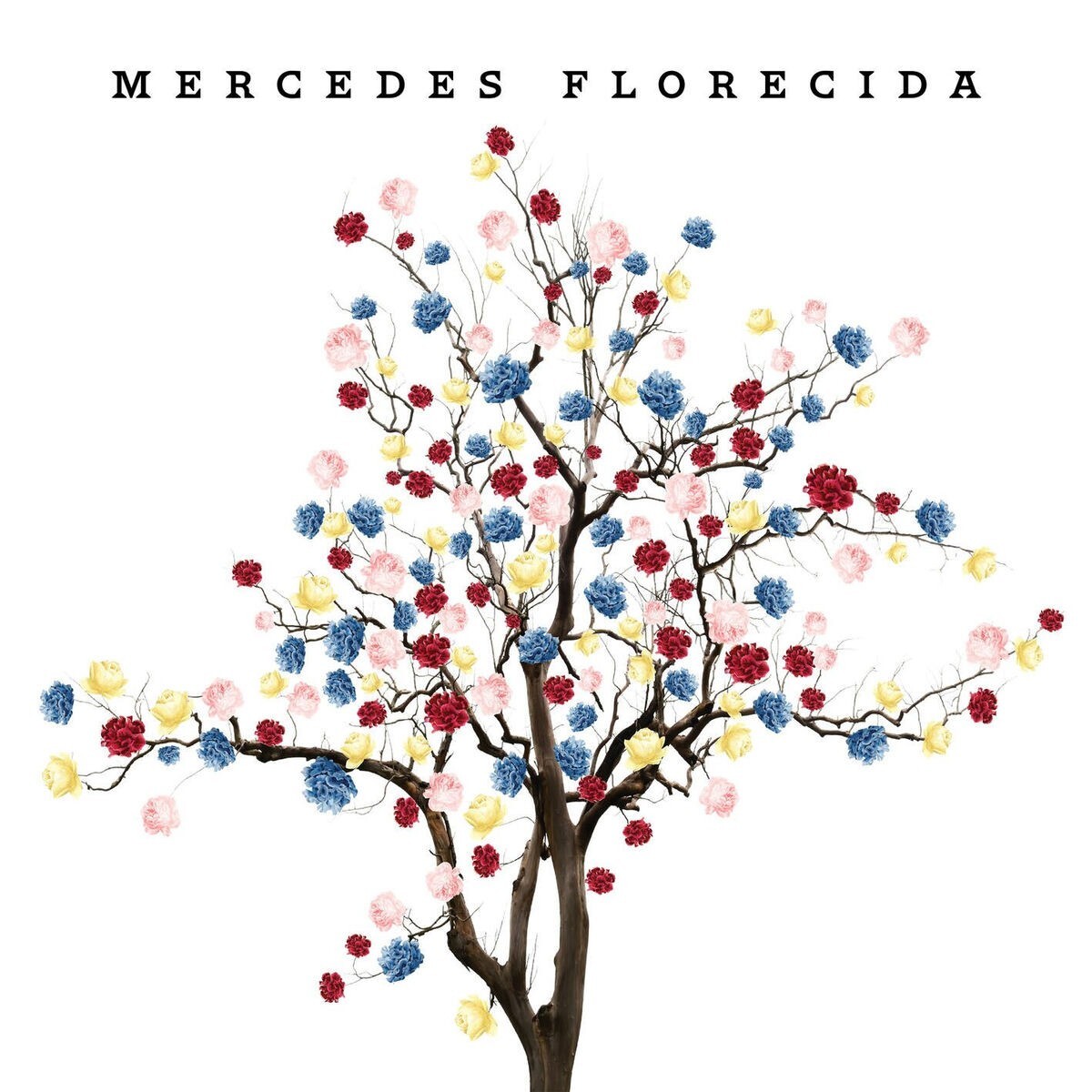 Mercedes Sosa - Mercedes Florecida 