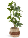 Maceta TERJE Ø25xA23cm natural Maceta TERJE Ø25xA23cm natural