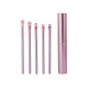 Brocha para ojos con estuche 5pcs rosa