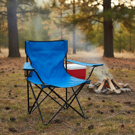 Silla Plegable C/Portavaso, Apoyabrazos Bolso Liviana 90 Kg Azul