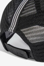 CURVED TRUCKER Negro