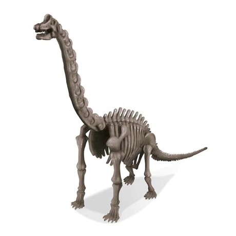 Juego Educativo 4M Excavación del Esqueleto Braquiosaurio Beige