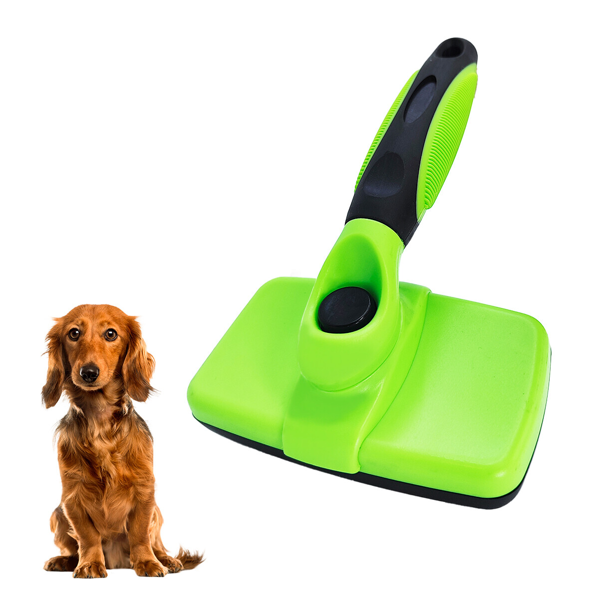 Cardina Cepillo Removedor Pelos Automático De Perros Gatos - Color verde 