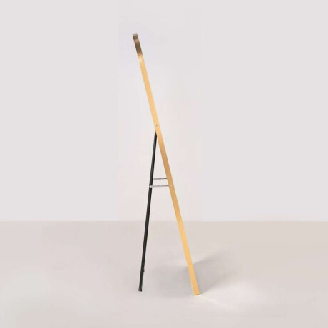 Espejo De Pie Ovalado Con Borde Dorado