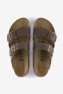 Arizona BFBC Mocca Marron