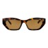 Lentes de Sol Chilli Beans Canarias Animal Print