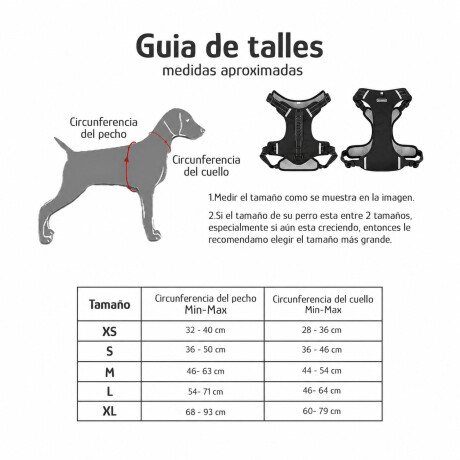 Arnés Y Correa P/Mascota Ajustable Tela Oxford Resistente Negro