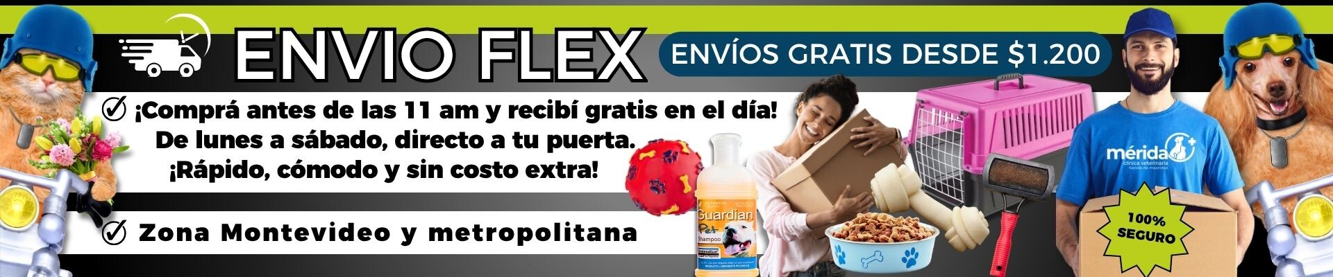 Envio flex