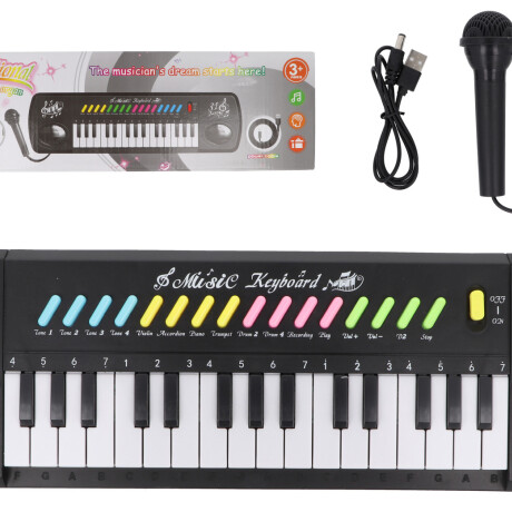 Organo con microfono Organo con microfono