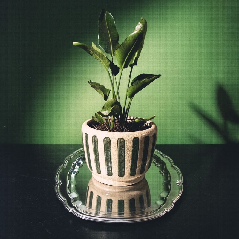 Maceta de cerámica Toscana - Rojo verde oscuro