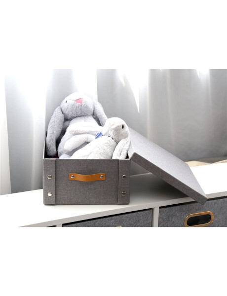 CAJA ORGANIZADOR C/ASA 26.5X31.5X14.5CM EXT TELA GRIS CAJA ORGANIZADOR C/ASA 26.5X31.5X14.5CM EXT TELA GRIS