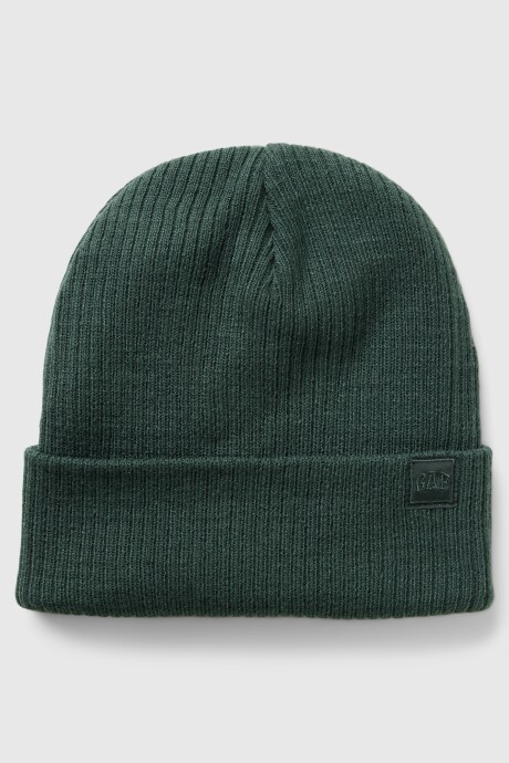 Gorro Abrigo Niño Essex Green 702