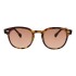 Lentes de Sol Chilli Beans Lausana Animal Print
