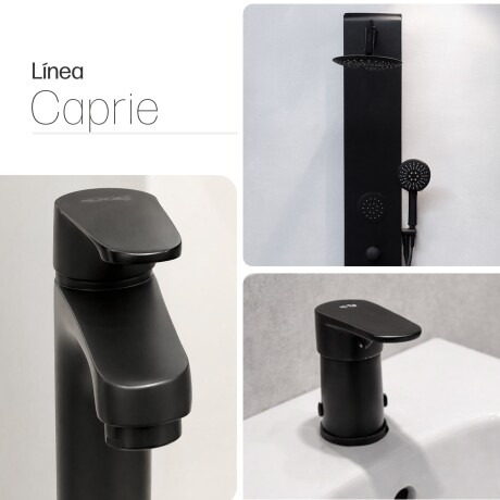 Juego de Grifería con Panel de Ducha y Bidet 000