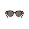 Ray Ban Rb2192 Roundabout 1292/b1