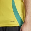 CAMISETA EQUIPACION JAMAICA Yellow/Grey