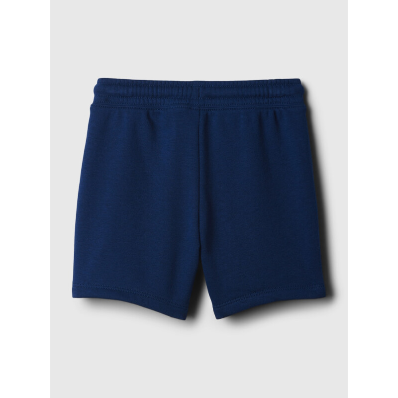 INTL FASHION LOGO SHORTS PANGEA BLUE