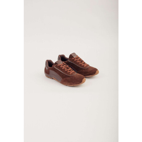 Champion Sari Brownie