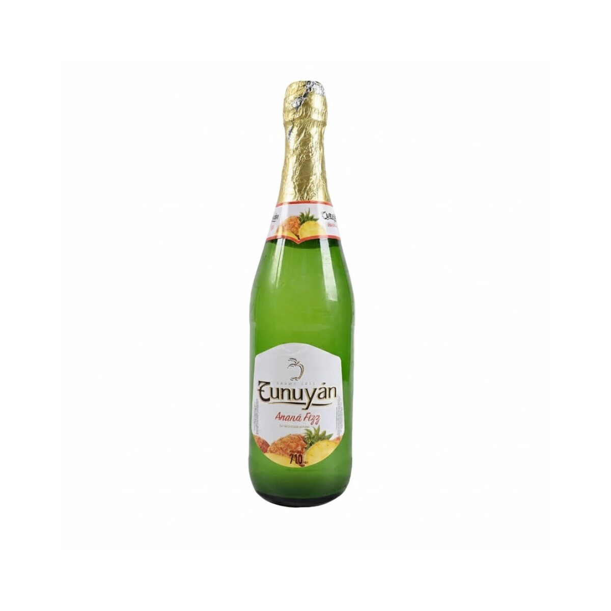 ANANA FIZZ TUNUYAN 