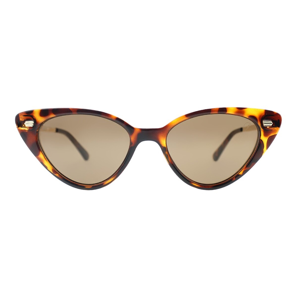 Lentes de Sol Chilli Beans Tarawa - Animal Print 