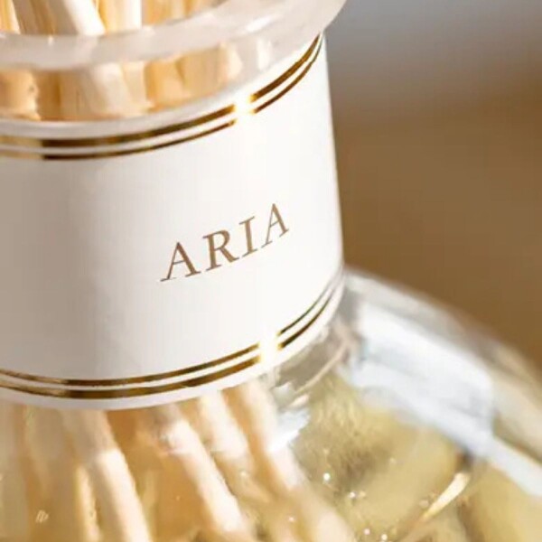 AROMATIZADOR ARIA - - Medium