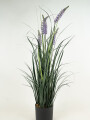Planta Grass Violet 95cm Color Unico