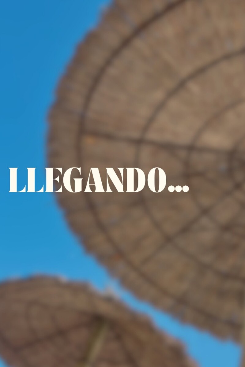 UMA SEMIVEDETINA LILA