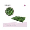 Pack x10 Jardin Vertical Artificial Muro Pared Panel Pack x10 Jardin Vertical Artificial Muro Pared Panel