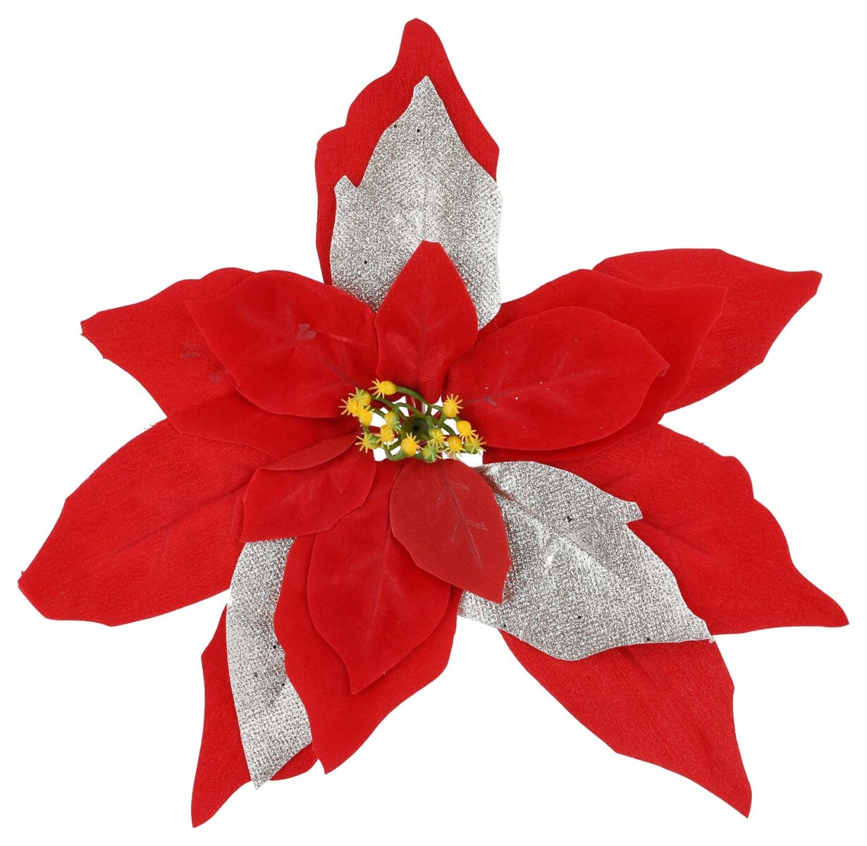 FLOR ESTRELLA FEDERAL 24597 