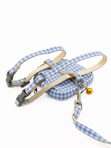 ARNES Y CORREA CELESTE