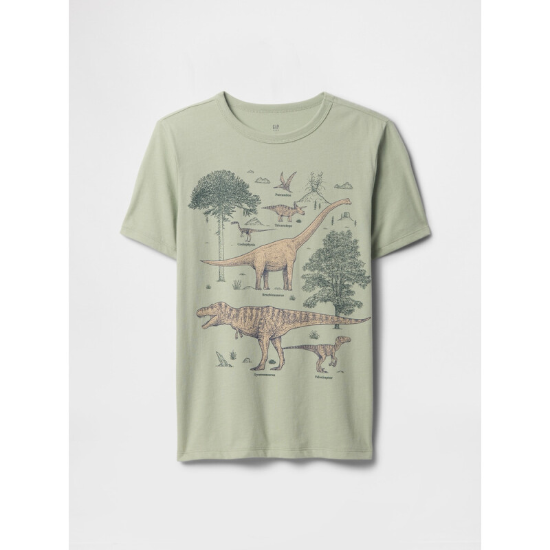 V-FEB SS VAL GR DESERT SAGE