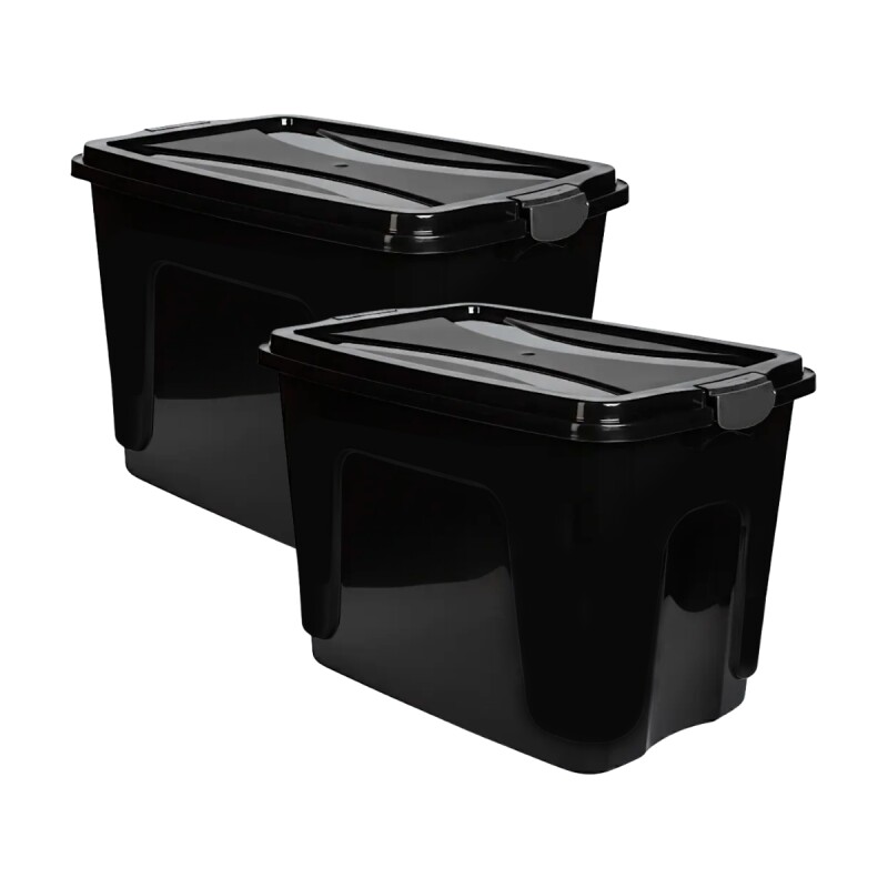 Set x2 Caja organizadora 65 lts NEGRO