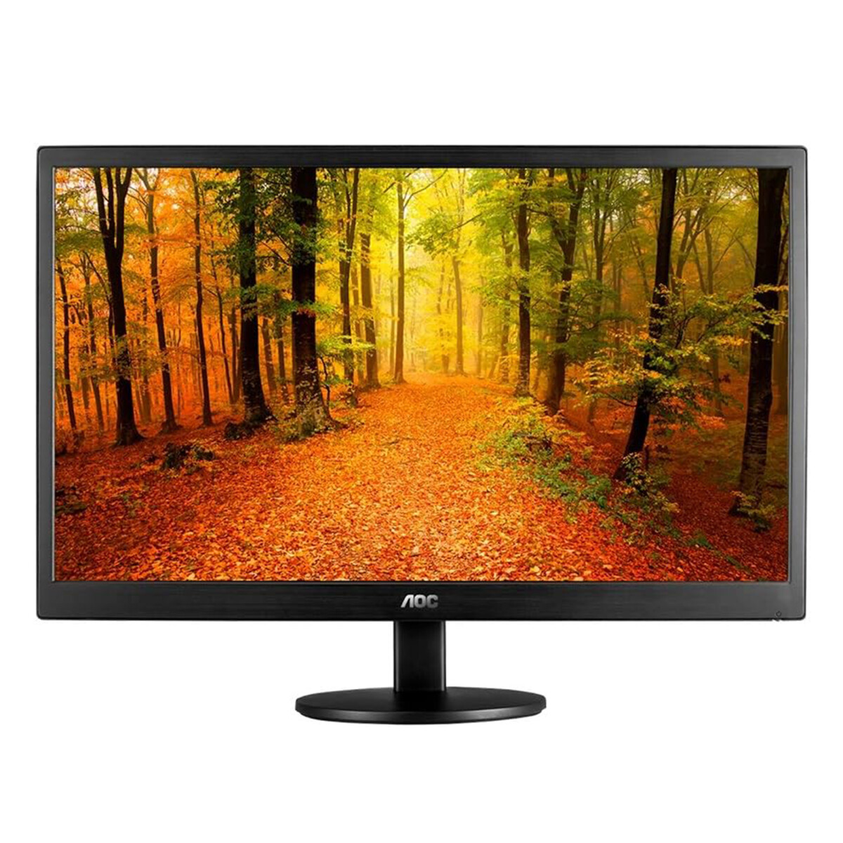 Monitor Aoc 19.5" Hd+ Hdmi Vga Usado 