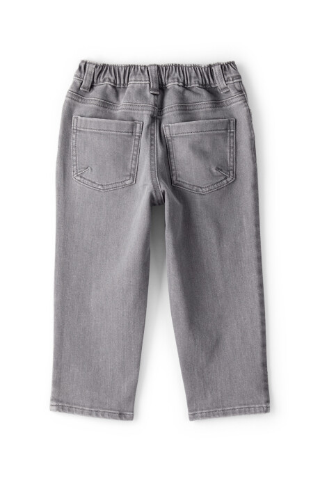 Pantalón jean gris Sin color