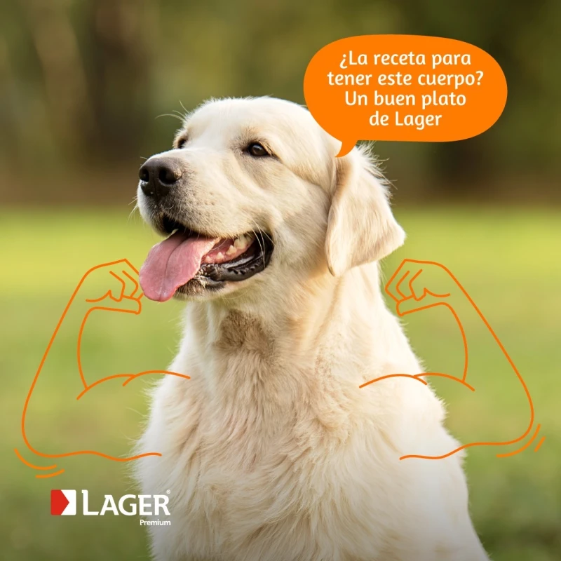 LAGER PERROS ADULTOS LAGER PERROS ADULTOS 22 KG