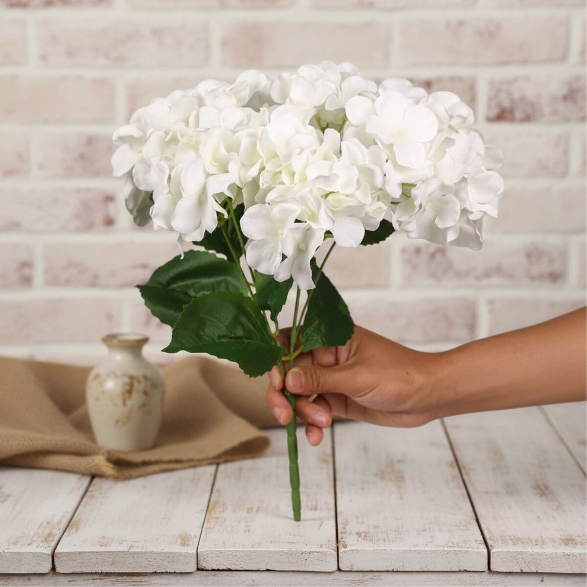 Ramo de 5 Hortensias - Blanca 