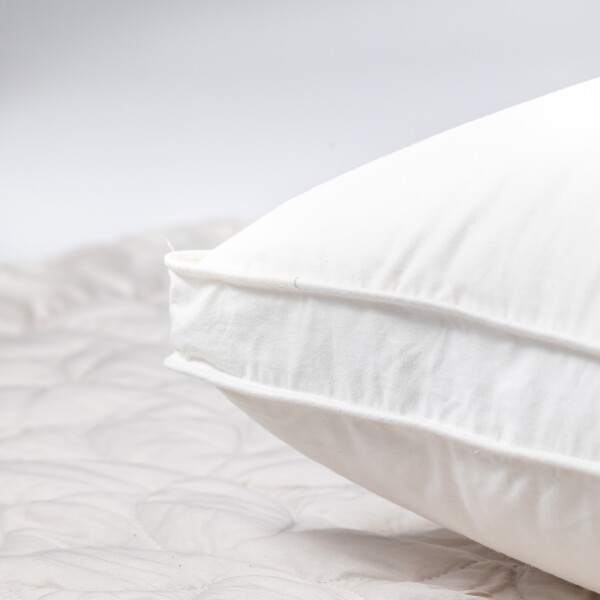 ALMOHADA DE PLUMAS GOOSE FEATHER 90% U