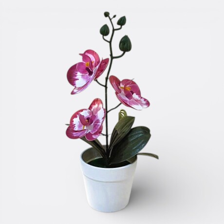 Orquídea Artificial Maceta Mediana Rosa y Blanco