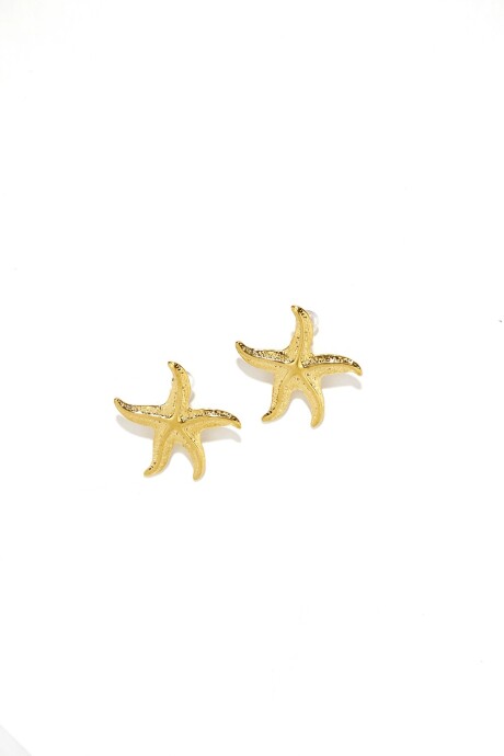Caravana Estrella Color Unico