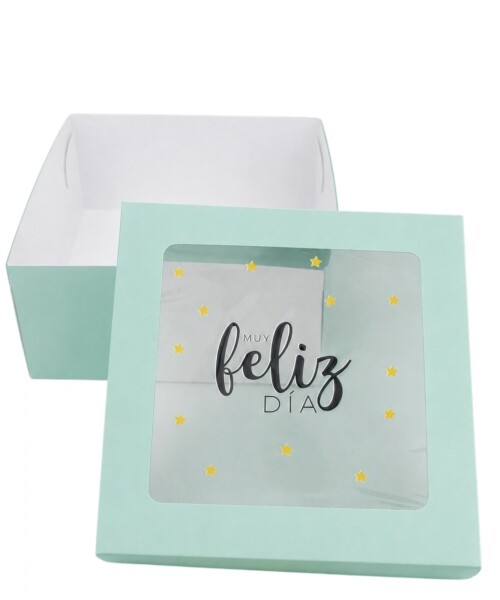 Caja flexi 20x20x9,5. c/visor impreso VERDE AGUA - ESTRELLAS