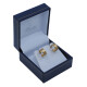 Aros satinados chicos en oro 18k Aros satinados chicos en oro 18k