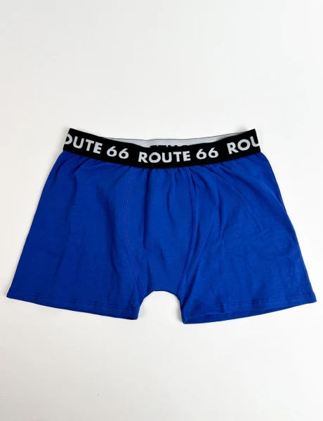 Boxer algodón Liso Azul Francia
