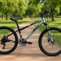 Bicicleta Rodado 24 Bmx Gris