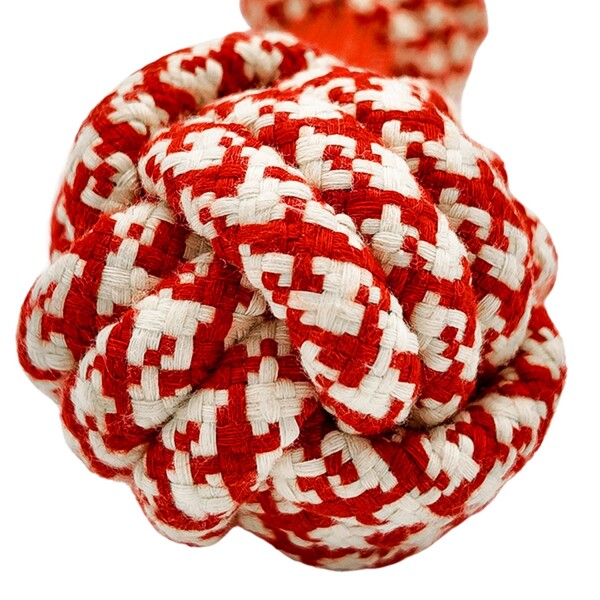 Juguete Perro Masticable Cuerda Soga Nudos Dental 22Cm Variante Color Rojo